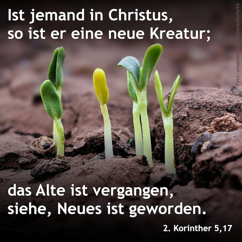 © Chetan Kolte / fundus-medien.de