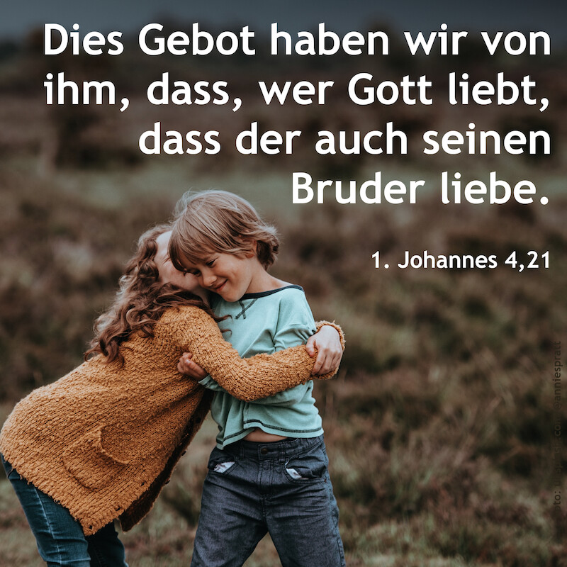 © Annie Spratt / fundus-medien.de